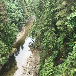 Meet your Posher, Deborah